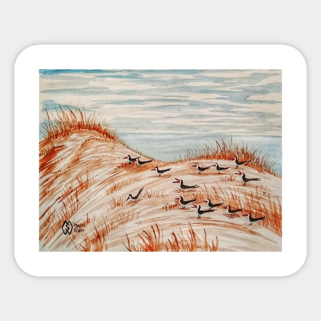 Black Skimmers Nesting Colony Sticker by Matt Starr Fine Art